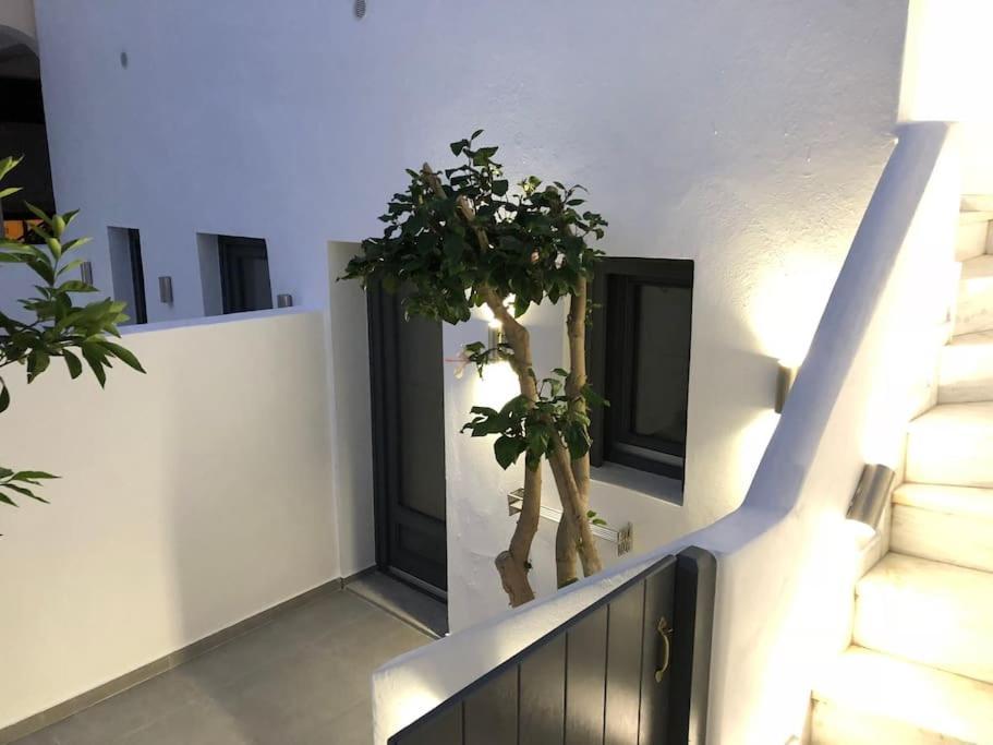 Nostos Fira (Santorini)